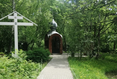 Пешеходная прогулка «Под сенью старых сосен: музейный пикник»