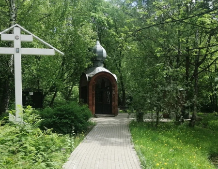 Пешеходная прогулка «Под сенью старых сосен: музейный пикник»