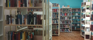 «Закулисье библиотеки»