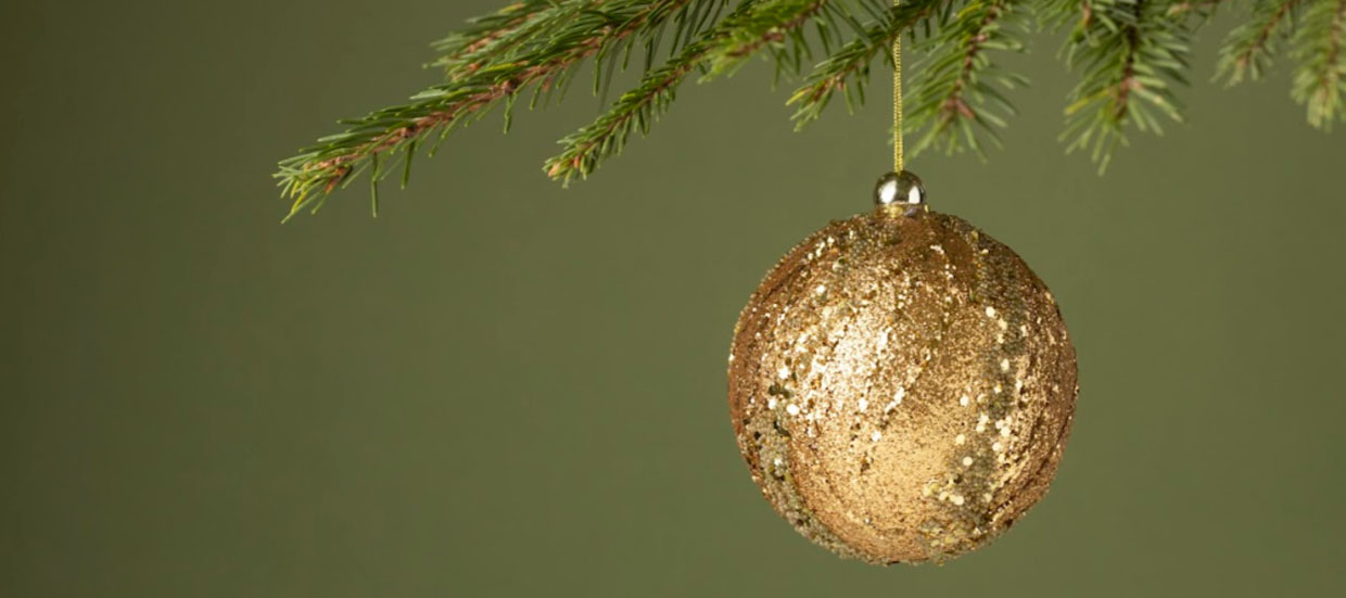 Лучшая новогодняя елочная игрушка-2026