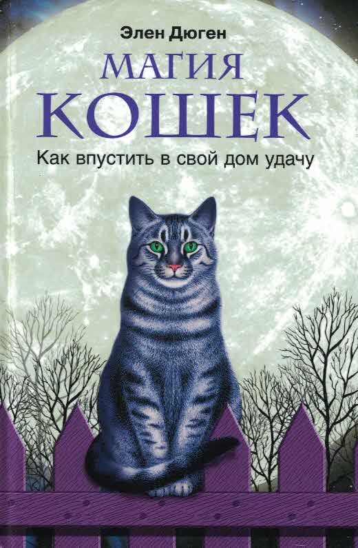 Магия кошек: как впустить в свой дом удачу