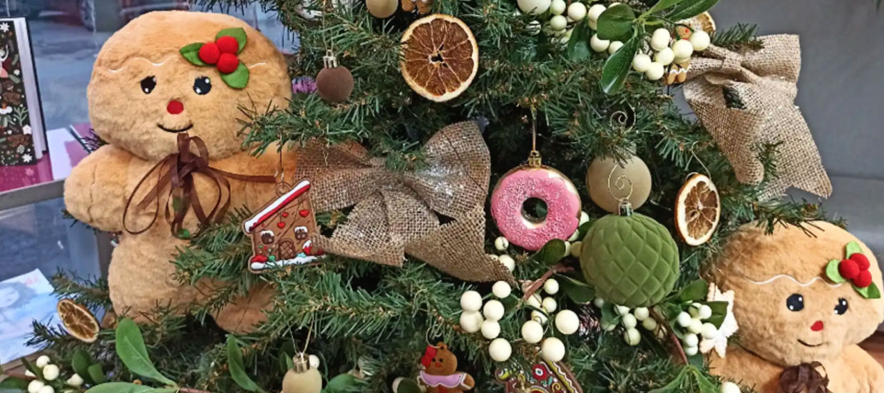 Зимние чудеса среди книг