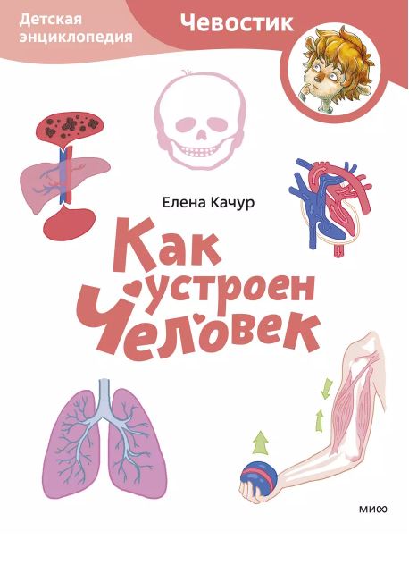 Как устроен человек