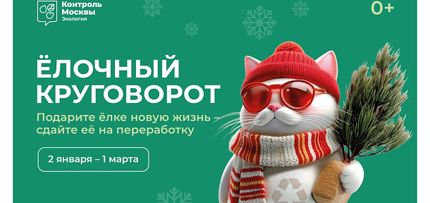 В Москве готовятся к ежегодной акции “Елочный круговорот”