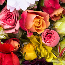 Цветы счастья