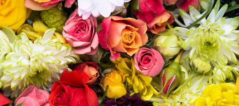 Цветы счастья