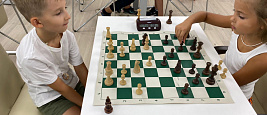 Шахматная школа "Лабиринты шахмат"