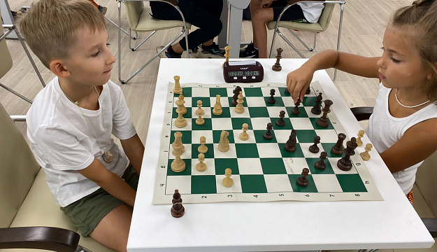 Шахматная школа "Лабиринты шахмат"