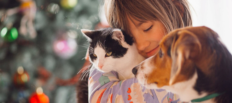 Четвероногие друзья