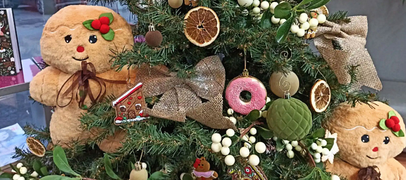 Зимние чудеса среди книг