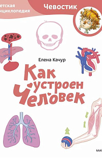 Как устроен человек