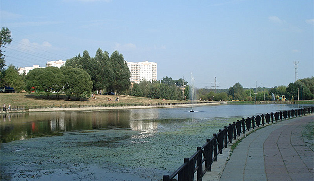 Беловежский пруд